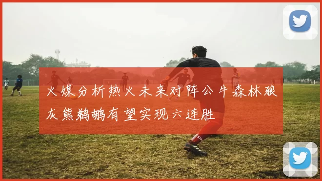 火媒分析热火未来对阵公牛森林狼灰熊鹈鹕有望实现六连胜