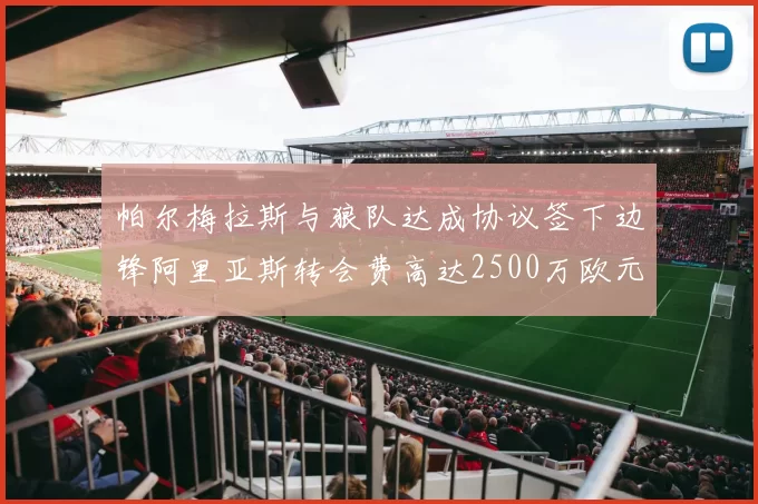 帕尔梅拉斯与狼队达成协议签下边锋阿里亚斯转会费高达2500万欧元