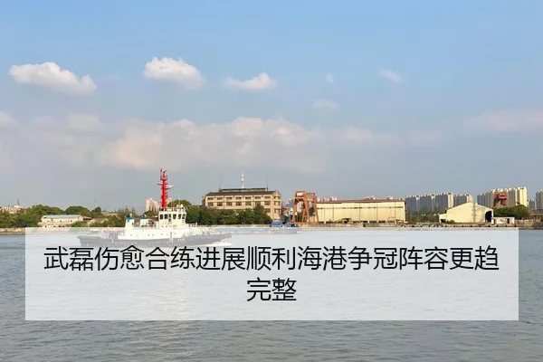 武磊伤愈合练进展顺利海港争冠阵容更趋完整（BB-SPORTS）